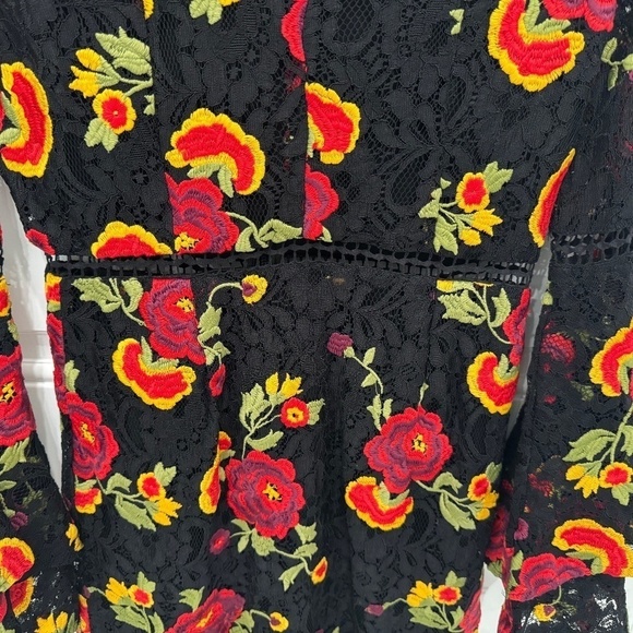Alexia Admor Dress **size 6** LACE Black/red/floral VERY Good condition - Picture 5 of 6